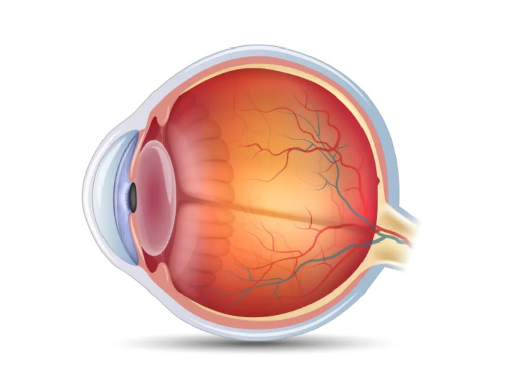 Dr. Vaidya Eye Hospital – Leading the Way in Retina Treatment in Mumbai