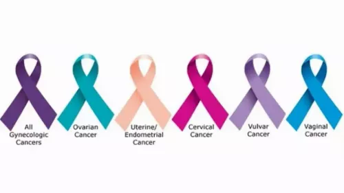 What are the common types of gynecological cancers?