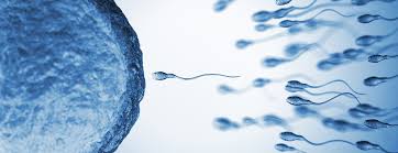 Are there specific criteria for choosing sperm donors in IUI?