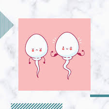 What are the criteria for selecting the most viable sperm for ICSI?