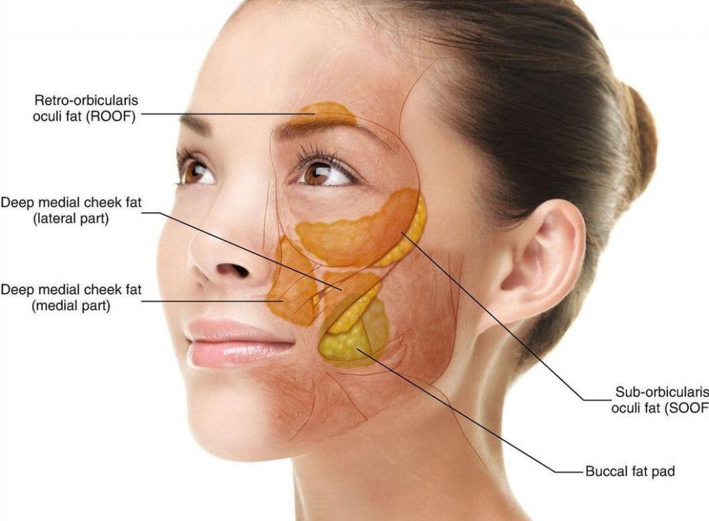Buccal Fat Removal in Mumbai Buccal Fat Removal in Mumbai