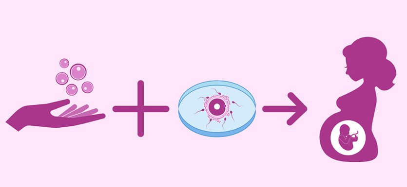 Donor egg treatment in Mumbai