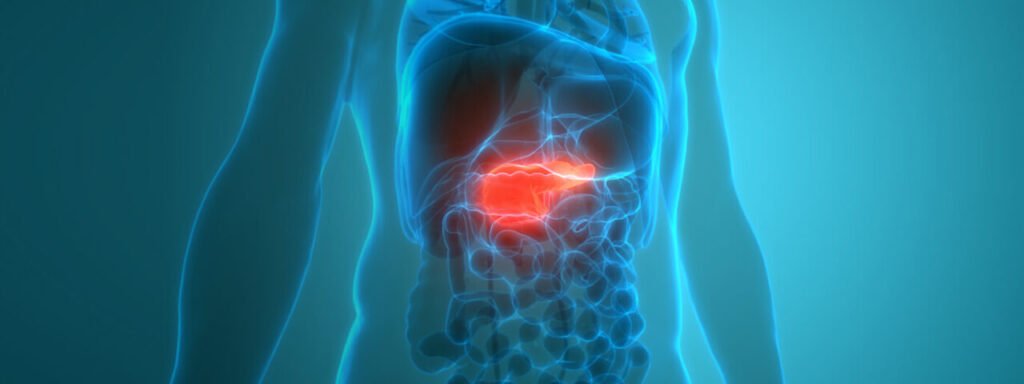 Gall Bladder Cancer Treatment Gall Bladder Cancer Treatment