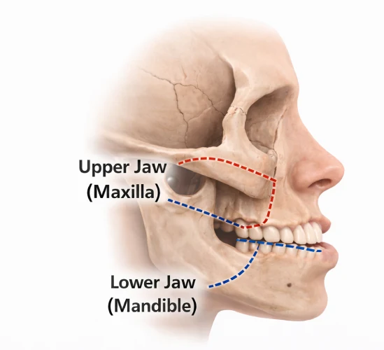 jawline surgery in mumbai